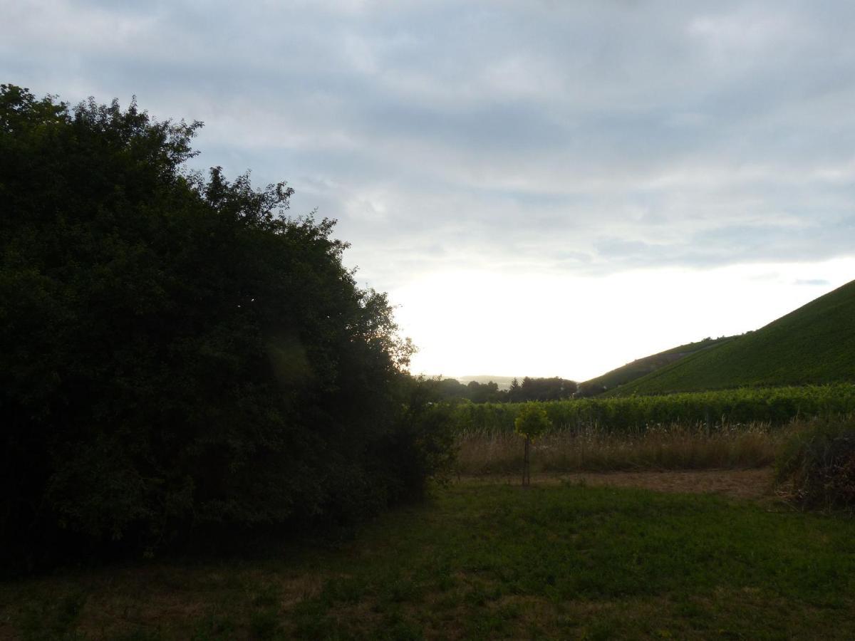Ehemalige Rosengaertnerei Apartamento Randersacker Exterior foto